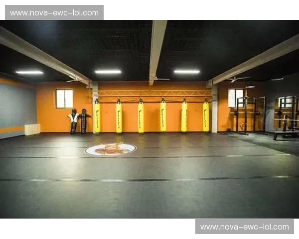 综合格斗停车：把每一次停车都打造成你的胜利场